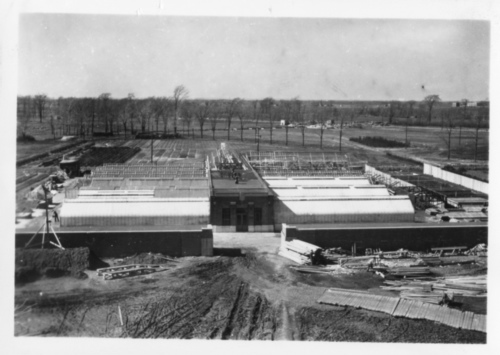 Jardin botanique de Montral (Archives) - H-1938-0071-b - Jardin botanique de Montr?al ? Serres de service - Construction ? 1938