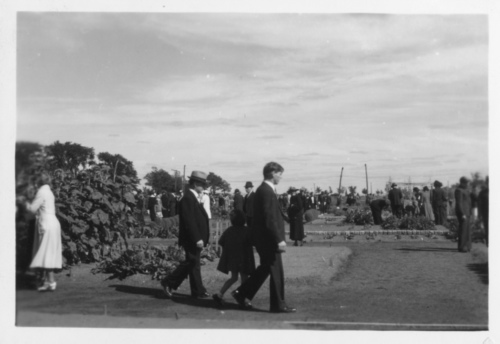Archives du Jardin botanique de Montral - H-1938-0082-a - Jardin botanique de Montréal - Jardin économique - Visiteurs dominicaux - 1938