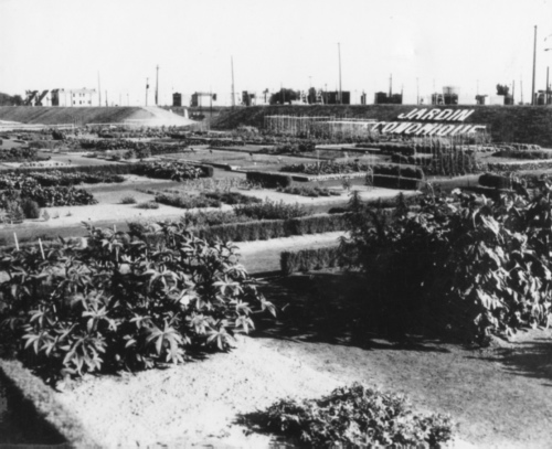 Archives du Jardin botanique de Montral - H-1938-0083-d - Jardin botanique de Montréal - Jardin économique - 1938