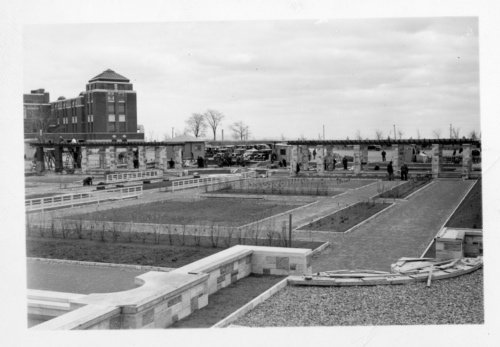 Jardin botanique de Montréal (Archives) - H-1939-0001-c - Montréal, Jardin botanique - Parterre de vivaces - Construction - 1939
