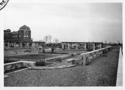 Archives du Jardin botanique de Montral - H-1939-0005-d - Jardin botanique de Montréal - Parterre des vivaces - construction - 1939