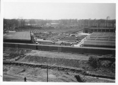 Archives du Jardin botanique de Montral - H-1939-0007-b - Montréal, Jardin botanique - 1939 ? Pépinière ouest
