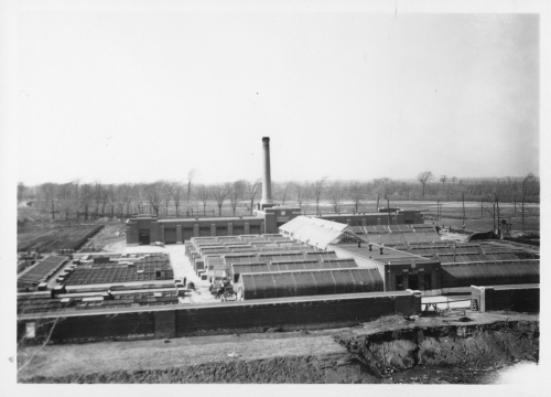 Jardin botanique de Montral (Archives) - H-1939-0007-d - Montréal, Jardin botanique - 1939 -  Serres de service