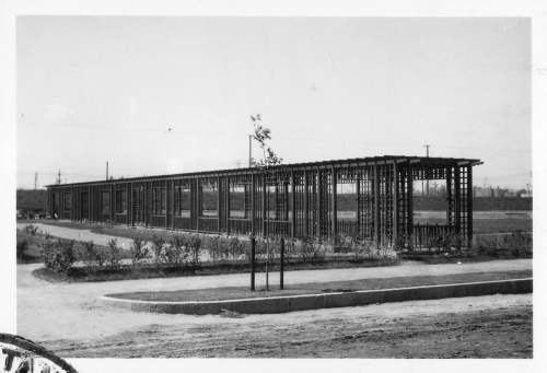 Archives du Jardin botanique de Montral - H-1939-0008-c - Montréal, Jardin botanique - 1939 - Jardin de petits fruits