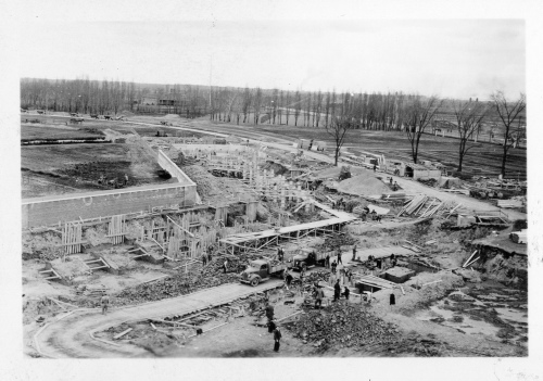 Archives du Jardin botanique de Montral - H-1939-0008-d - Montréal, Jardin botanique - 1939 - Serre d'exposition