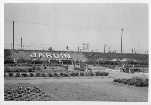 Jardin botanique de Montral (Archives) - H-1939-0018-c - Montréal, Jardin botanique - Juillet 1939 - Jardin économique