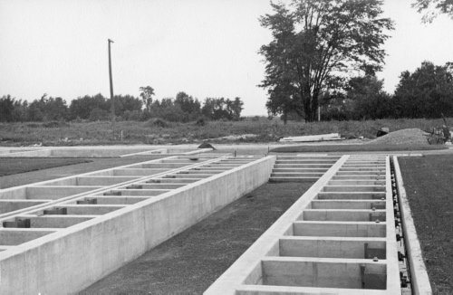 Archives du Jardin botanique de Montral - H-1939-0025-b - Montréal, Jardin botanique - Juillet 1939 - Jardin aquatique - Bassin