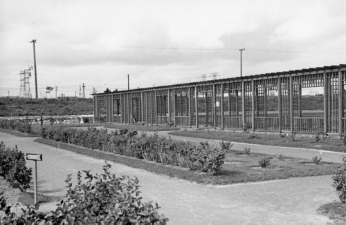 Archives du Jardin botanique de Montral - H-1939-0028-a - Montréal, Jardin botanique - 1939 - Jardin des petits fruits - Pergole