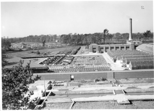 Archives du Jardin botanique de Montral - H-1939-0030-b - Couches froides et fondations des futures serres d'exposition - 1939
