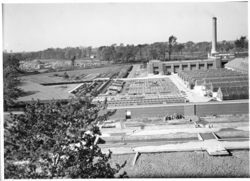 Archives du Jardin botanique de Montral - H-1939-0030-d - Couches froides et fondations des futures serres d'exposition - 1939