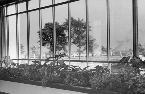 Jardin botanique de Montral (Archives) - H-1939-0037-a - Montréal, Jardin botanique - 1939 - Jardin d
