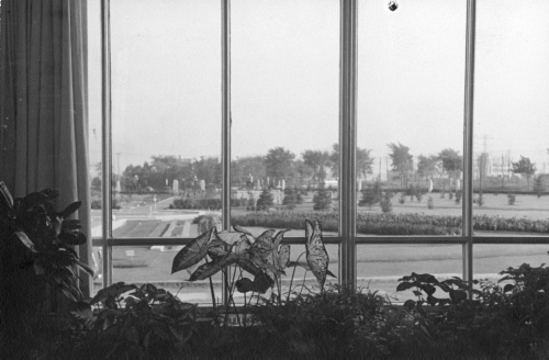 Jardin botanique de Montral (Archives) - H-1939-0037-c - Montréal, Jardin botanique - 1939 - Jardin d