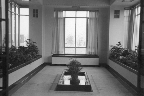 Jardin botanique de Montral (Archives) - H-1939-0038-a - Montréal, Jardin botanique - 1939 - Jardin d