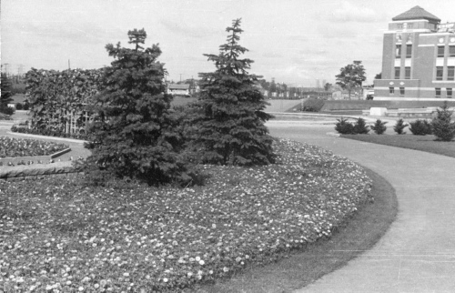 Jardin botanique de Montral (Archives) - H-1939-0040-c - Montréal, Jardin botanique - Octobre 1939 - Parterre d