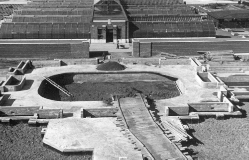 Jardin botanique de Montral (Archives) - H-1939-0042-a - Montréal, Jardin botanique - Octobre 1939 - Serres d'exposition - Section centrale - Fougères