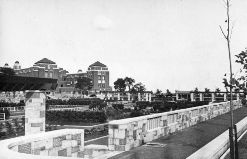 Archives du Jardin botanique de Montral - H-1939-0044-b - Montréal, Jardin botanique - Parterre des vivaces - Octobre 1939
