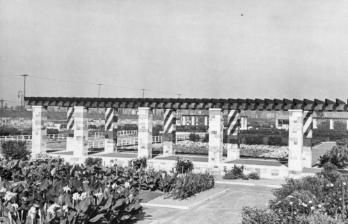Jardin botanique de Montral (Archives) - H-1939-0044-c - Montréal, Jardin botanique - Parterre des vivaces - Octobre 1939