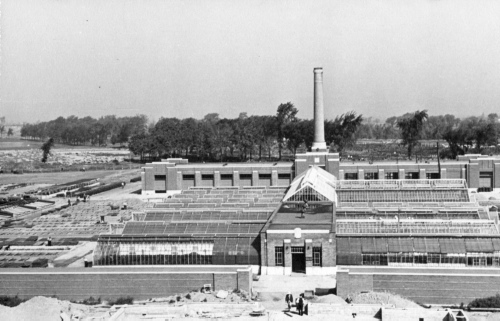 Archives du Jardin botanique de Montral - H-1939-0046-a - Montréal, Jardin botanique - Octobre 1939 - Serres de service