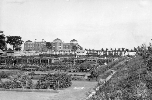 Jardin botanique de Montral (Archives) - H-1939-0046-c - Montréal, Jardin botanique - Octobre 1939 - Jardin économique
