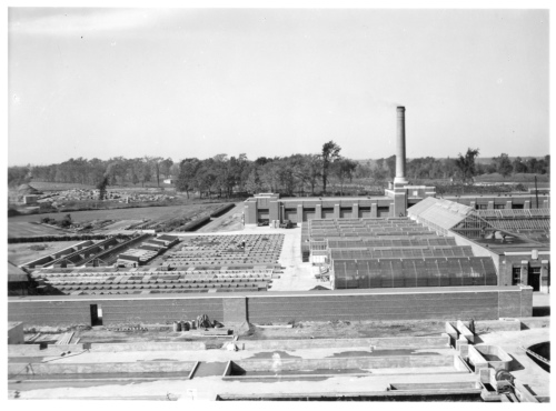 Archives du Jardin botanique de Montral - H-1939-0051-a - Couches froides et fondations des futures serres d'exposition - 1939