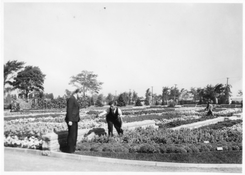 Archives du Jardin botanique de Montral - H-1939-0054-b - Apprentis horticulteurs au travail - 1939