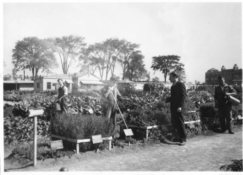 Archives du Jardin botanique de Montral - H-1939-0054-c - Apprentis horticulteurs au travail - 1939