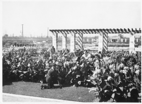Archives du Jardin botanique de Montral - H-1939-0054-d - Apprentis horticulteurs au travail - 1939