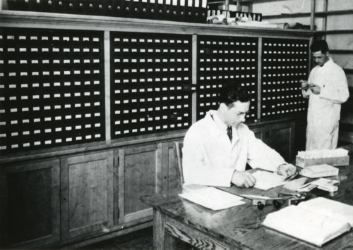 Archives du Jardin botanique de Montral - H-1941-0017-c - Graineterie, service des échanges - Sébastien Baril, Auray Blain (photo R. Dufresne) - février 1941