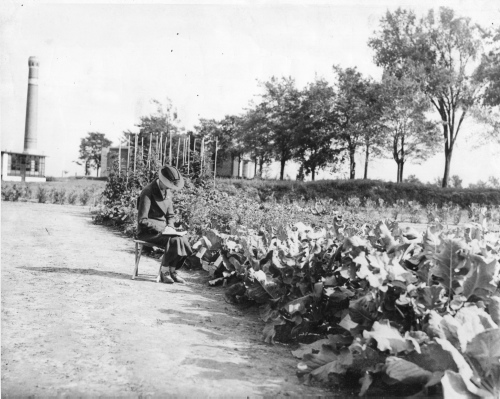 Jardin botanique de Montréal (Archives) - h-1936-0007 - Jardin économique - 1936 - Marcelle Gauvreau