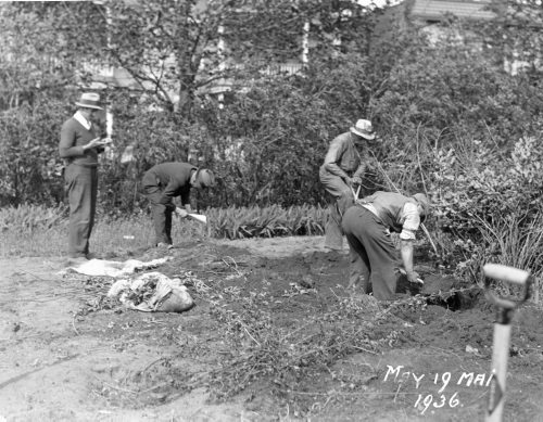 Jardin botanique de Montréal (Archives) - h-1936-0008 - Parc Baldwin (Transport des plantes de Boyce Thompson Institute) - Mai 1936