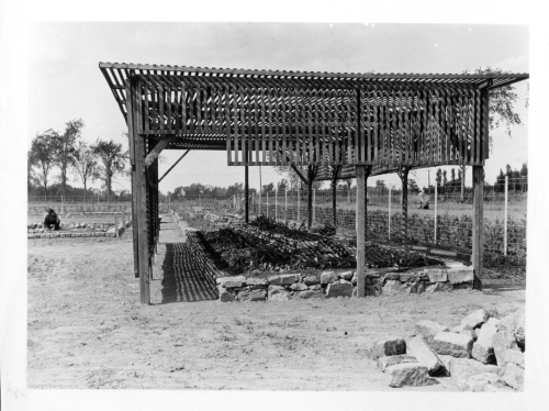 Archives du Jardin botanique de Montral - h-1936-0016-b - Jardin botanique de Montréal - Couches (construction) - 1936