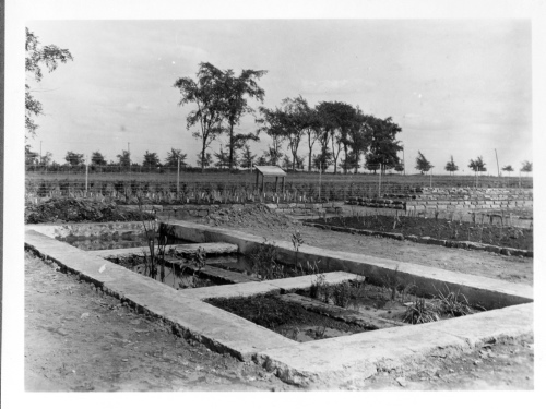 Archives du Jardin botanique de Montral - h-1936-0016-d - Jardin botanique de Montréal - Couches (construction) - 1936