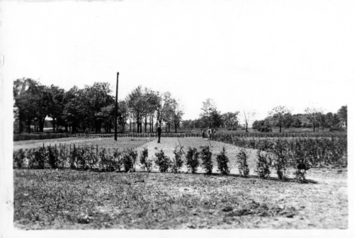 Jardin botanique de Montral (Archives) - h-1936-0026-c - Jardin botanique de Montréal - Jardin économique - 1936