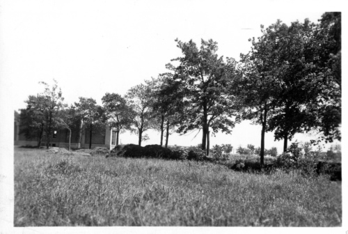 Jardin botanique de Montral (Archives) - h-1936-0026-d - Jardin botanique de Montréal - Espace entre pavillon et serres de service - 1936