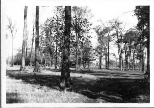 Jardin botanique de Montral (Archives) - h-1936-0028-a - Jardin botanique de Montréal - Site des groupes écologiques - 1936