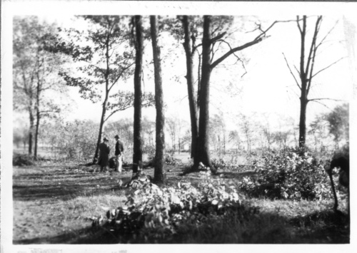 Jardin botanique de Montral (Archives) - h-1936-0028-b - Jardin botanique de Montréal - Site des groupes écologiques - 1936