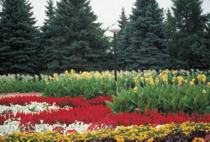 Archives du Jardin botanique de Montréal - cote:011-6