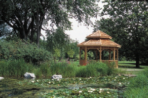 étang de la Maison de l'arbre - Jardin botanique de Montréal (Michel Tremblay) - 0488-00001