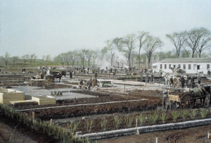 Jardin botanique de Montral (Archives) - call number:395