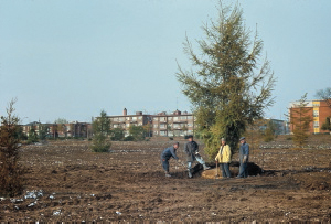 Archives du Jardin botanique de Montral - cote:Arboretum_31_oct_1969