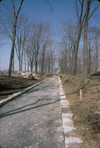 Jardin botanique de Montral (Archives) - call number:C-44-102 