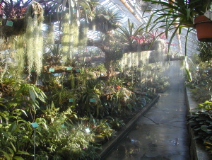 Jardin botanique de Montréal (Archives) - call number:GIM000118
