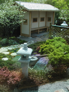 Archives du Jardin botanique de Montral - cote:GIM003633