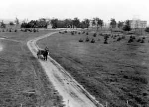 Jardin botanique de Montral (Archives) - call number:H-1936-0023 