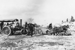 Archives du Jardin botanique de Montral - cote:H-1936-0037-a 