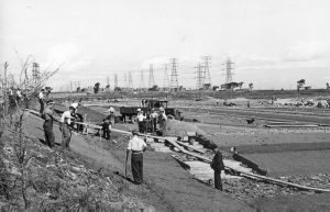 Jardin botanique de Montral (Archives) - call number:H-1939-0022-c 