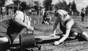 Fillettes dans un jardinet en 1942