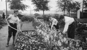 Garçons dans un jardinet en 1942