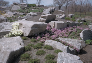 Jardin botanique de Montral (Archives) - call number:J-1-75