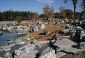 Archives du Jardin botanique de Montral - cote:J-24-207 